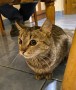 Cleo (7)